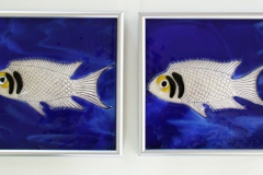 Custom Fish Tiles