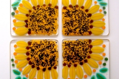 Custom Sunflower Coasters
