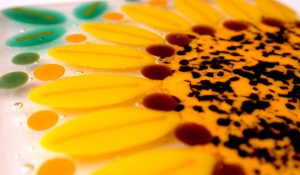 Sunflower Coaster Closeup