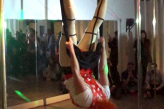 Michelle Prosek_Fifth Element Fly Gym