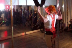 Michelle Prosek_Fifth Element Fly Gym