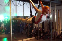 Michelle Prosek_Fifth Element Fly Gym