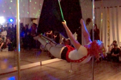 Michelle Prosek_Fifth Element Fly Gym