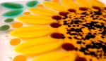 Custom Sunflower Coaster Closeup