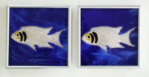 Custom Fish Tiles
